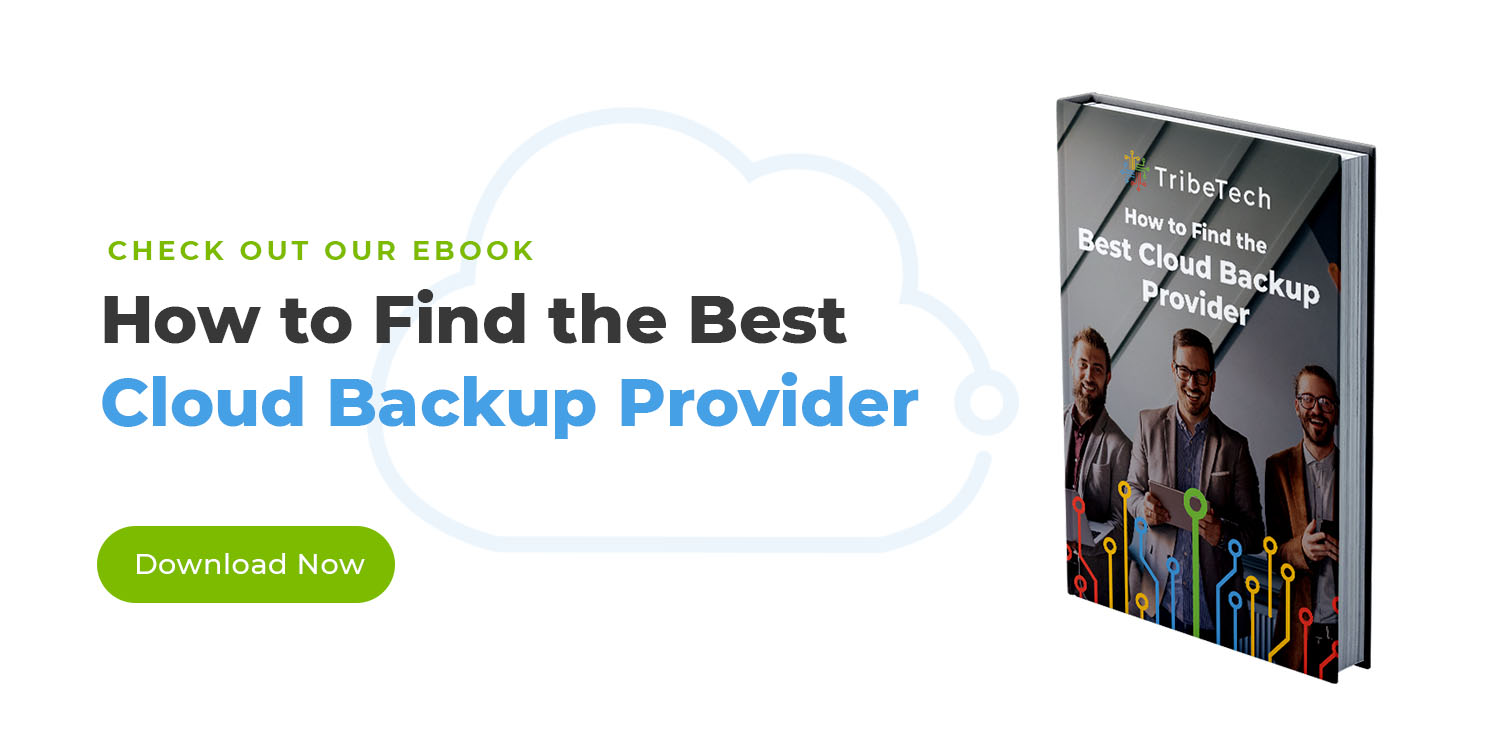 How to Find the Best Cloud Backup Provider ebook cover